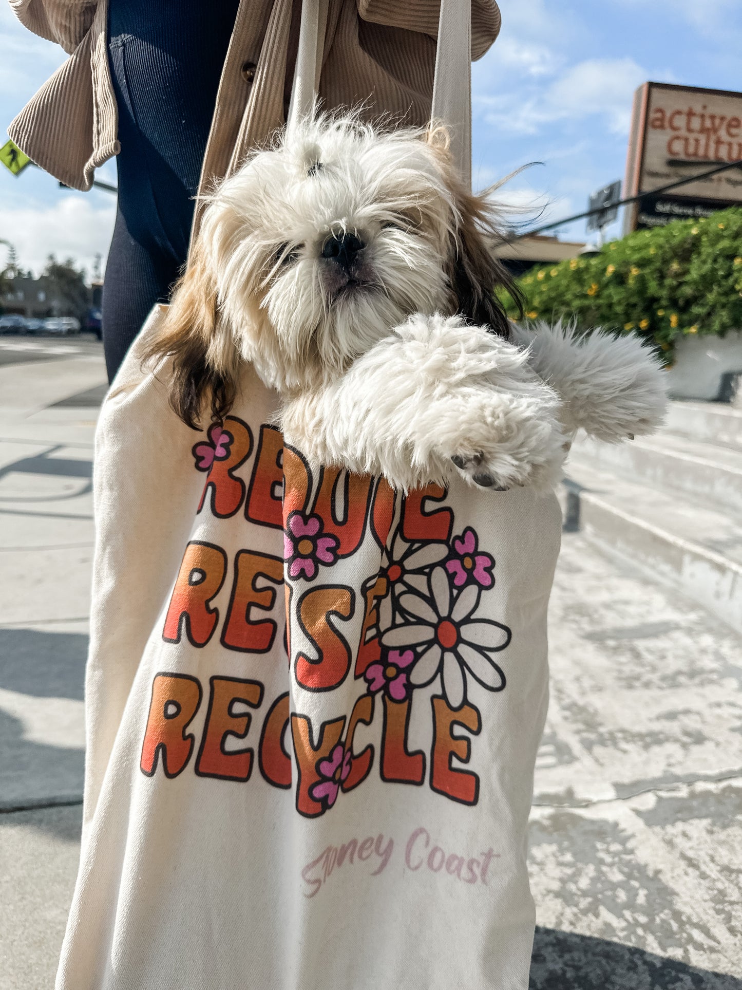 Oversized Beach Canvas Bag (Flowers)